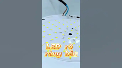 【 Cost Reduction of 50% 】 New LED Casting Technology 2025 【 Factory Guide 】