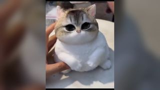 Ever wonder why some cat squishy toys lose their squish after a week?
